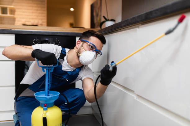 Best Pest Control Near Me in Mays Chapel, MD