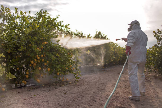 Best Best Pest Control Companies  in Mays Chapel, MD